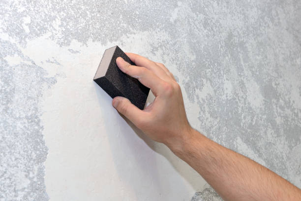 Best Water Damage & Mold Remediation  in Secy, AR