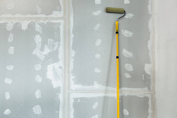 Forensic Mold Investigation in Searcy, AR