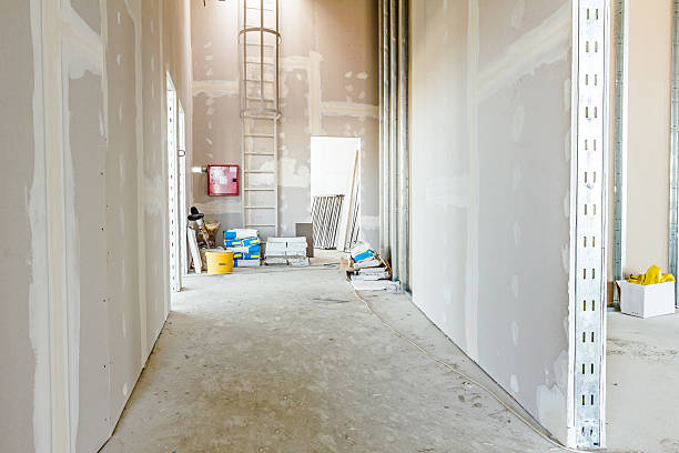 Best Basement Mold Removal  in Secy, AR